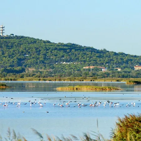 아파트 Les Maldives-3 By Interhome 아그